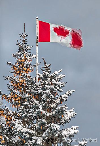 After A Snowfall_P1240671-6.jpg - Canadian Flag photographed at Smiths Falls, Ontario, Canada.